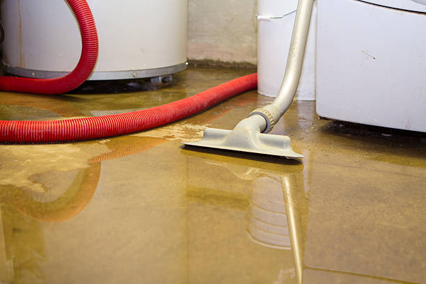 Best Flooded house restoration  in Gilmer, TX