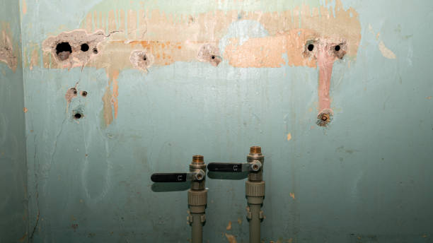 Best 24-hour water damage restoration  in Gilmer, TX