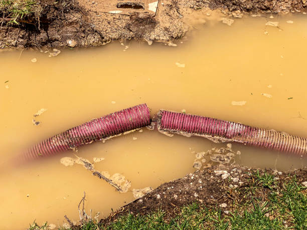 Best Sewage cleanup and water damage restoration  in Gilmer, TX