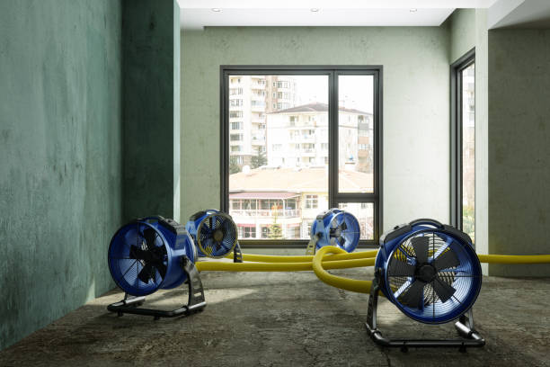 Best Water damage restoration near me  in Gilmer, TX